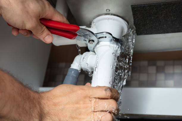 Best Water damage cleanup near me  in Rowland, NC