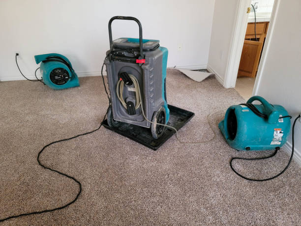 Best Fire Damage Restoration  in Rowland, NC