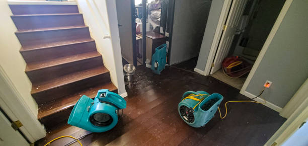 Best Water damage cleanup near me  in Rowland, NC