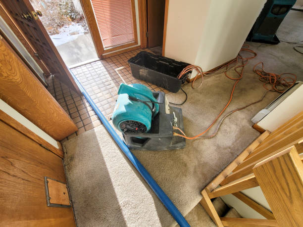  Rowland, NC Water damage restoration Pros