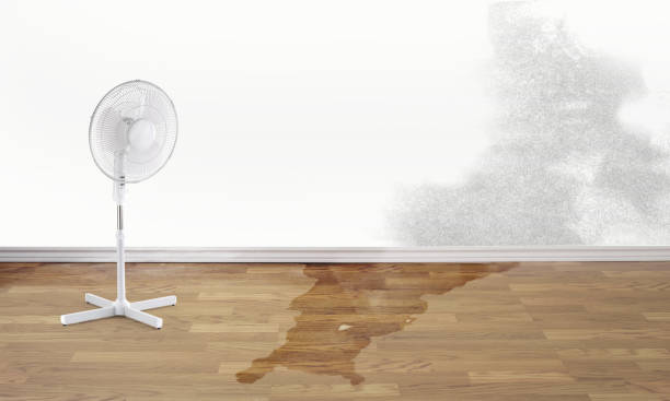 Best 24-hour water damage restoration  in Rowland, NC