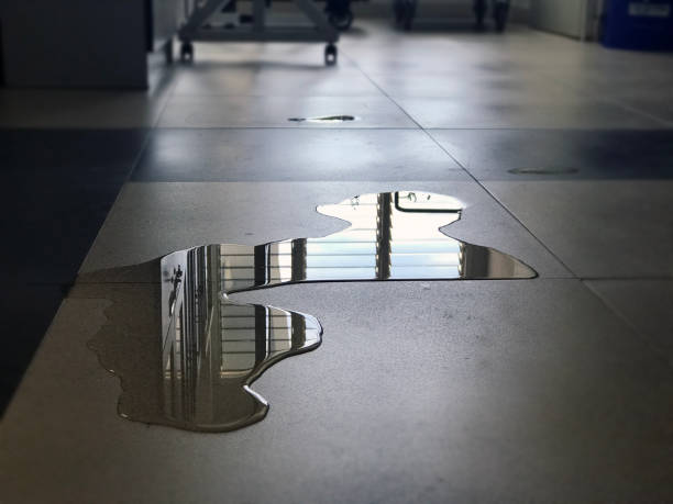 Best 24-hour water damage restoration  in Rowland, NC