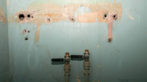 Best Water damage restoration process  in Rowland, NC