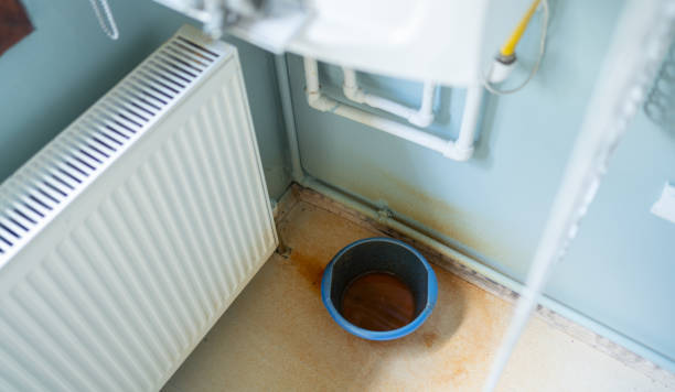 Best Basement water damage restoration  in Rowland, NC