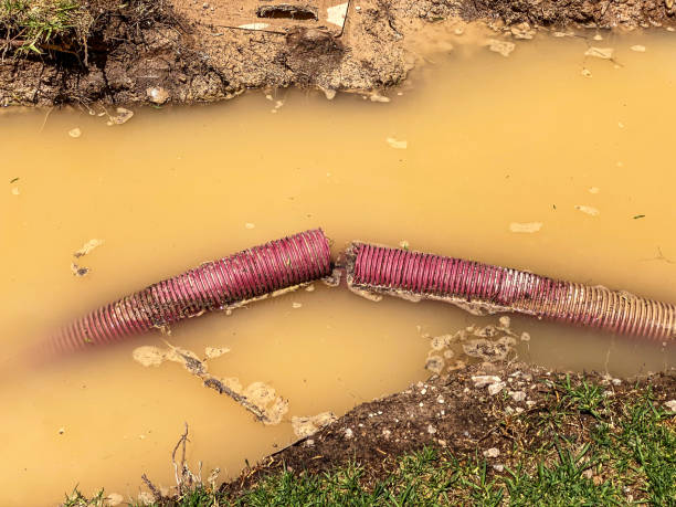 Best Water damage restoration near me  in Rowland, NC